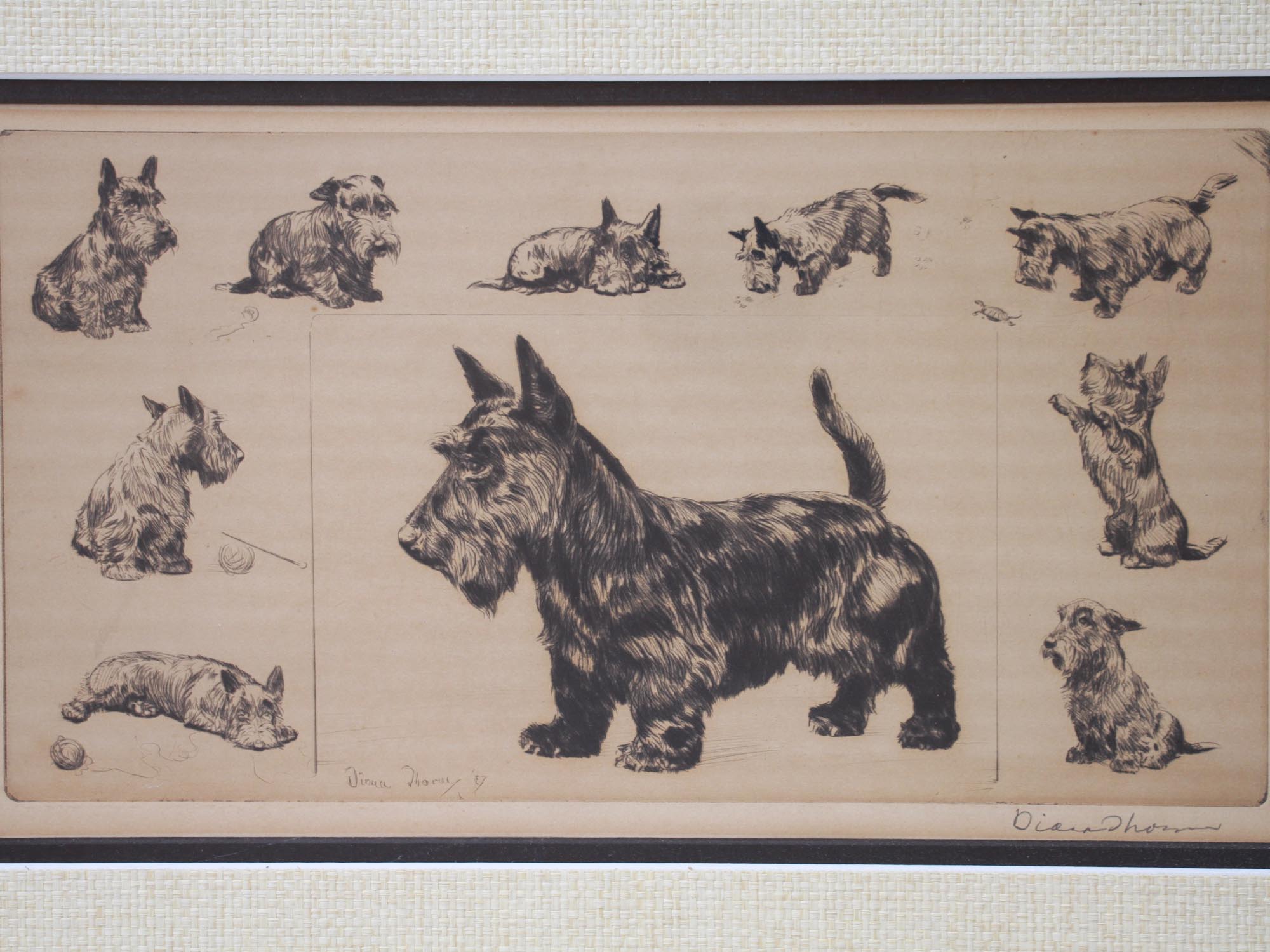 AN ORIGINAL AMERICAN ETCHING DOG BY DIANA THORNE PIC-1